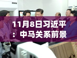 11月8日習(xí)近平：中馬關(guān)系前景光明 未來可期，11月8日習(xí)近平主席談中馬關(guān)系，未來光明，前景可期