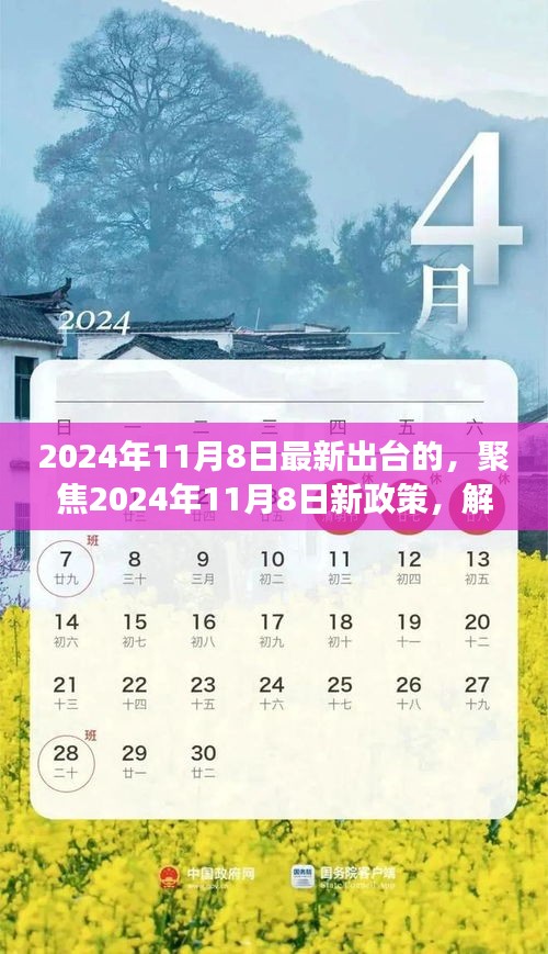 聚焦新政策，解讀三項要點出爐，洞悉未來趨勢——2024年11月8日最新政策解讀標題