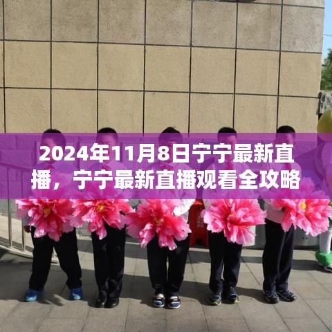 寧寧直播指南，2024年11月8日直播觀看全攻略與入門(mén)指南