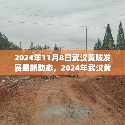 2024年武漢黃陂發(fā)展最新動態(tài)探索，融入區(qū)域發(fā)展大潮的步伐