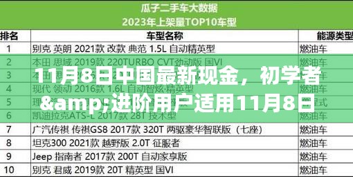 初學者與進階用戶指南，11月8日中國最新現(xiàn)金操作指南及任務完成步驟詳解