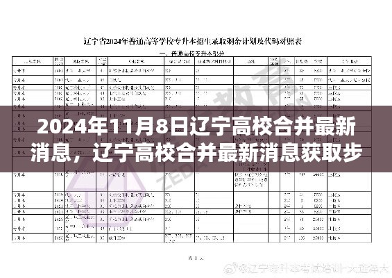 遼寧高校合并最新消息獲取指南，初學者與進階用戶適用，2024年高校合并最新動態(tài)揭秘