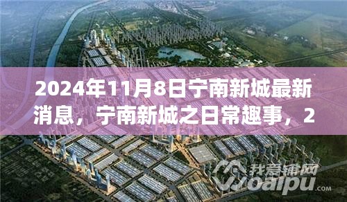 寧南新城日常趣事與陽光溫情，2024年11月8日最新消息