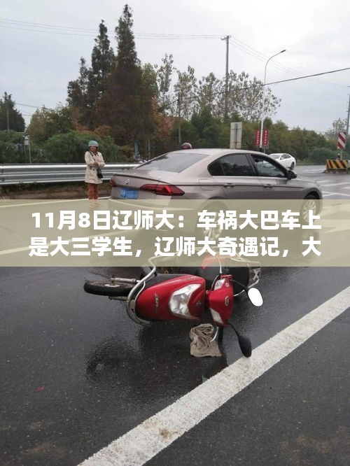 遼師大車禍?zhǔn)录?，大三學(xué)生的大巴暖心歷程