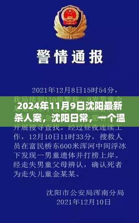 沈陽殺人案背后的友情與陪伴故事，日常溫馨背后的真相（2024年）