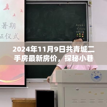 2024年共青城二手房最新房價揭秘，小巷特色小店探秘