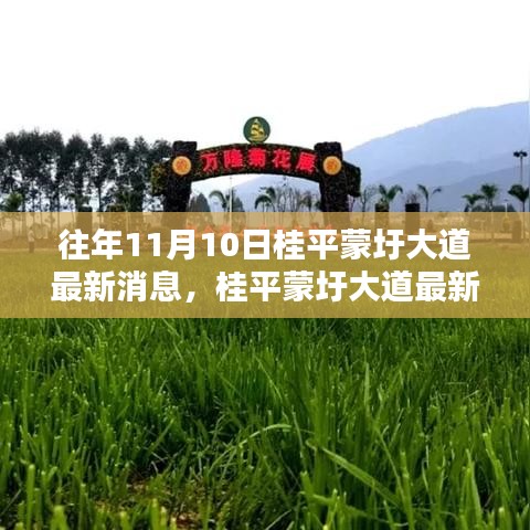 桂平蒙圩大道最新動(dòng)態(tài)獲取全攻略，輕松掌握最新消息動(dòng)態(tài)