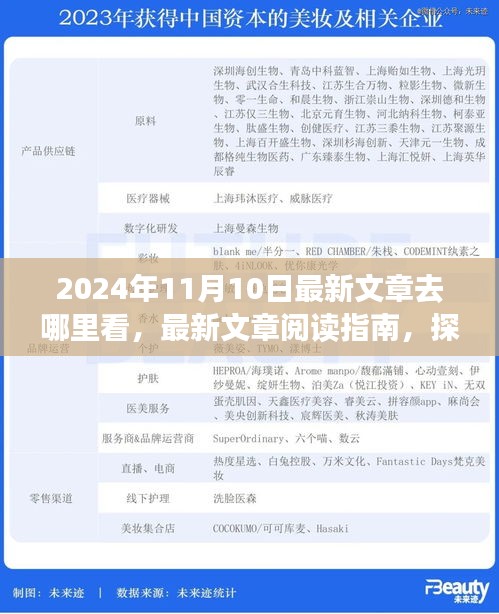 探尋最新文章閱讀指南，揭秘2024年11月10日的精彩內(nèi)容