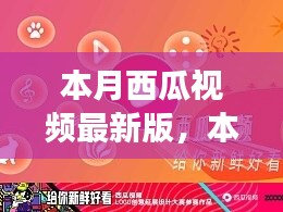 本月西瓜視頻最新版，全新體驗(yàn)與功能升級(jí)指南