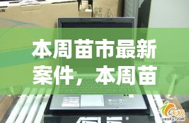 本周苗市熱點揭秘，最新案件動態(tài)全掌握