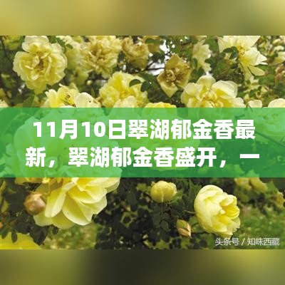 新聞中心 第158頁