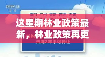 林業(yè)政策最新動向，本周更新及其時(shí)代影響力分析