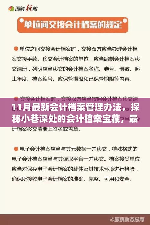 探秘最新會計(jì)檔案管理辦法，小巷深處的寶藏與獨(dú)特故事揭秘