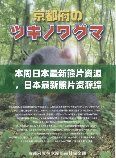 日本最新熊片資源綜述，背景、進展與特定領(lǐng)域地位探討