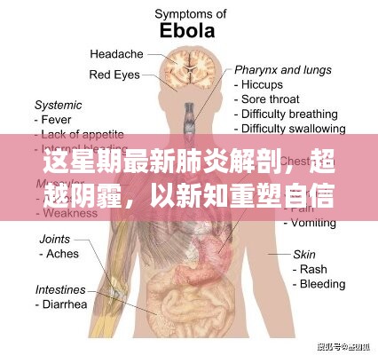 超越陰霾，最新肺炎解剖啟示錄，重塑信心與新知的探索