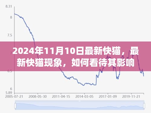 最新快貓現(xiàn)象，影響與未來(lái)發(fā)展觀察（2024年觀察點(diǎn)）