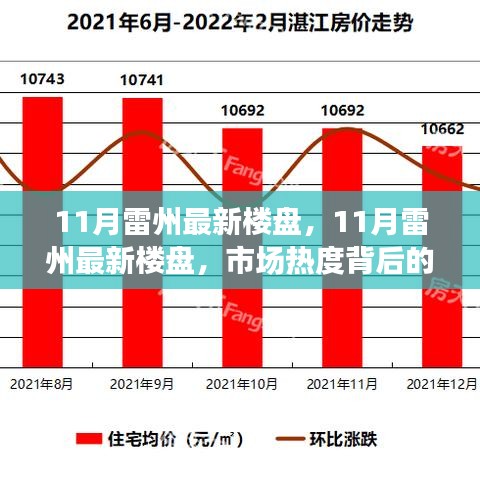 市場熱度背后的深度解讀與個人立場，11月雷州最新樓盤觀察