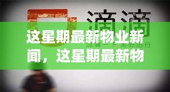 最新物業(yè)新聞一周概覽，全面解讀物業(yè)領(lǐng)域最新動(dòng)態(tài)