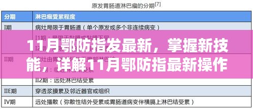 11月鄂防指最新操作流程步驟指南，掌握新技能的詳解