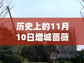 歷史上的11月10日增城薔薇國(guó)際房?jī)r(jià)揭秘，最新價(jià)格一覽表！