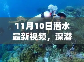 揭秘深潛新紀(jì)元，潛水最新視頻的時(shí)代意義與影響（11月10日更新）