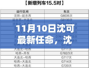 沈可新任命的背后，背景、影響與時代地位分析（最新更新）