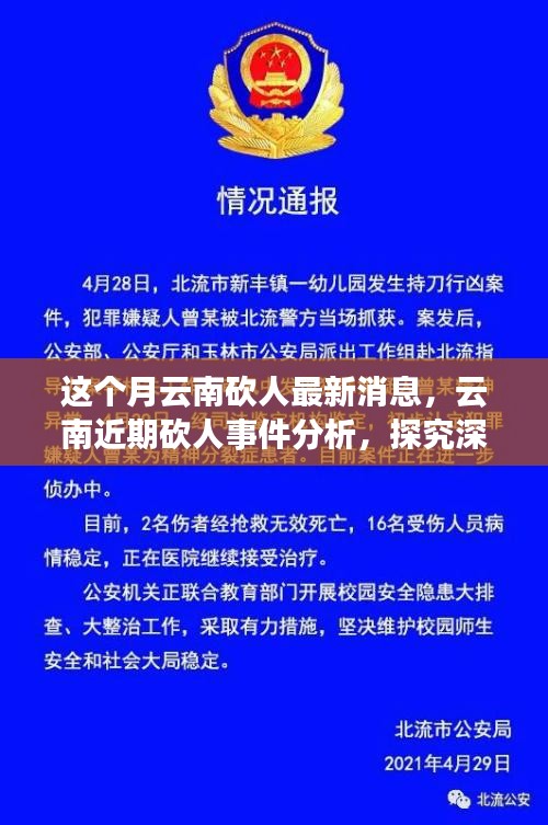 云南砍人事件最新消息，深層原因探究與各方觀點分析