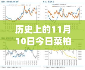 歷史上的11月10日，菜柏價格背后的勵志故事與最新行情，自信成就感的源泉