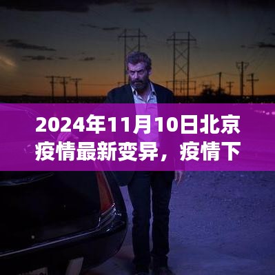 北京疫情最新變異下的溫情與友情日常，2024年11月10日最新觀察