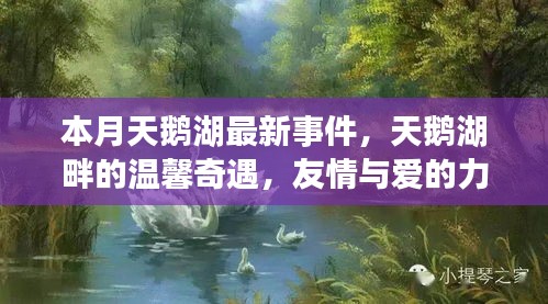 本月天鵝湖畔的溫馨奇遇，友情與愛的力量的展現(xiàn)