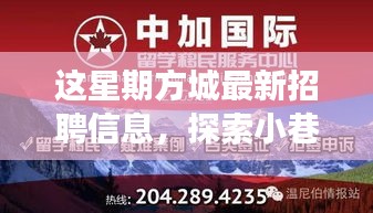 方城最新招聘信息揭秘，小巷秘境與獨(dú)特小店之旅