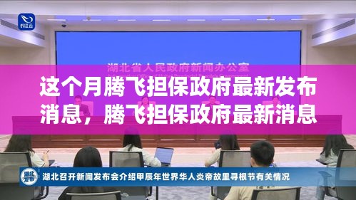 騰飛擔(dān)保政府最新消息解讀與操作指南，初學(xué)者與進(jìn)階用戶必讀指南