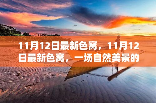 11月12日最新色窩探秘之旅，自然美景中尋找內(nèi)心平和與寧靜