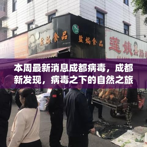 成都病毒新發(fā)現(xiàn)，自然之旅中的心靈港灣探尋