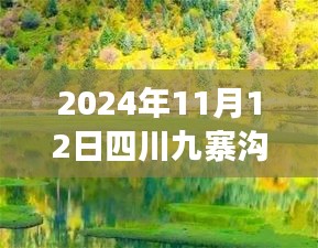 2024年11月12日四川九寨溝最新情況，自然恢復與旅游新篇章開啟