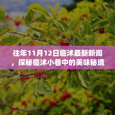 探秘臨沭小巷美味秘境，11月12日臨沭最新新聞中的隱藏美食店揭秘