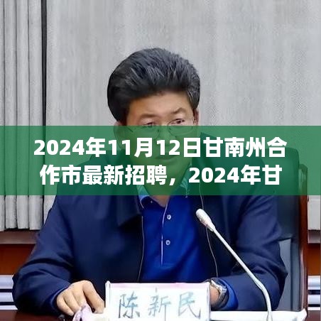 2024年甘南州合作市最新招聘盛會，職業(yè)發(fā)展的理想舞臺開啟