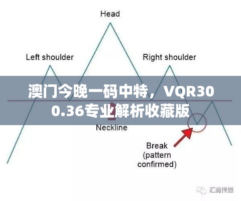 澳門今晚一碼中特，VQR300.36專業(yè)解析收藏版