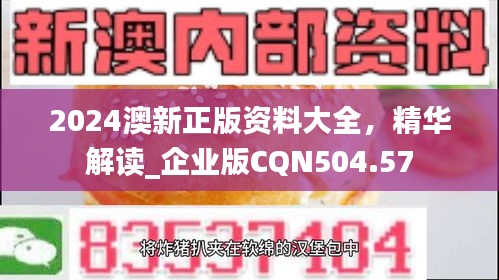 2024澳新正版資料大全，精華解讀_企業(yè)版CQN504.57