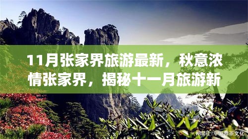 揭秘十一月張家界秋意濃情，最新旅游指南開啟新篇章