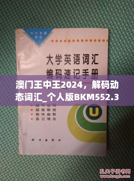 澳門王中王2024，解碼動態(tài)詞匯_個人版BKM552.33指南