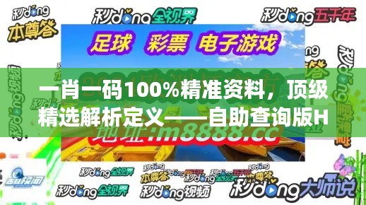 一肖一碼100%精準(zhǔn)資料，頂級(jí)精選解析定義——自助查詢版HOU688.73