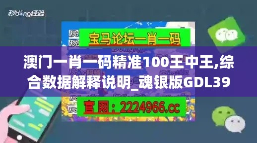 澳門一肖一碼精準100王中王,綜合數(shù)據(jù)解釋說明_魂銀版GDL39.84