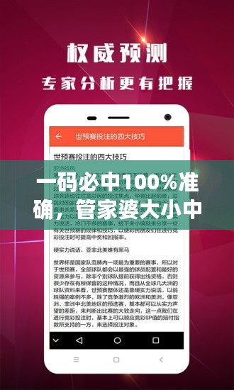 一碼必中100%準(zhǔn)確，管家婆大小中特解析，戶外版ZNA113.77深度剖析