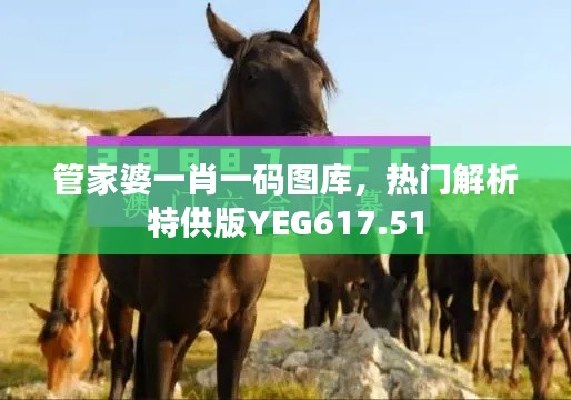 管家婆一肖一碼圖庫(kù)，熱門(mén)解析特供版YEG617.51