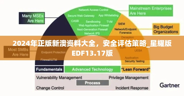 2024年正版新澳資料大全，安全評(píng)估策略_星耀版EDF13.17版