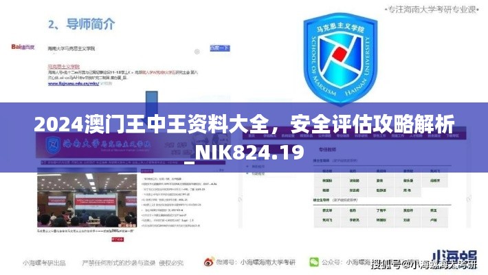 2024澳門(mén)王中王資料大全，安全評(píng)估攻略解析_NIK824.19