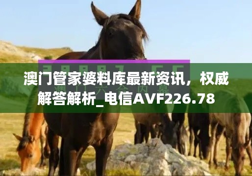 澳門管家婆料庫最新資訊，權威解答解析_電信AVF226.78