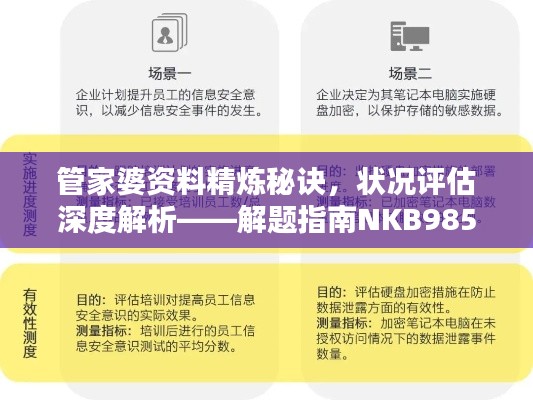 管家婆資料精煉秘訣，狀況評(píng)估深度解析——解題指南NKB985.33