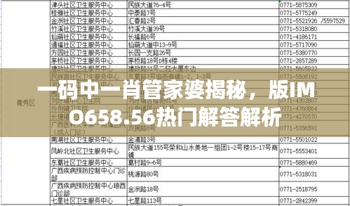 一碼中一肖管家婆揭秘，版IMO658.56熱門解答解析